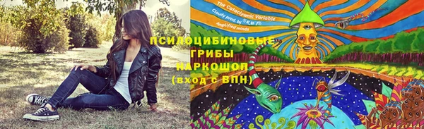 МДПВ Алексеевка