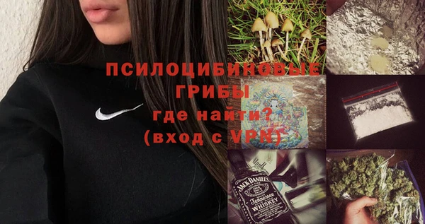 МДПВ Алексеевка