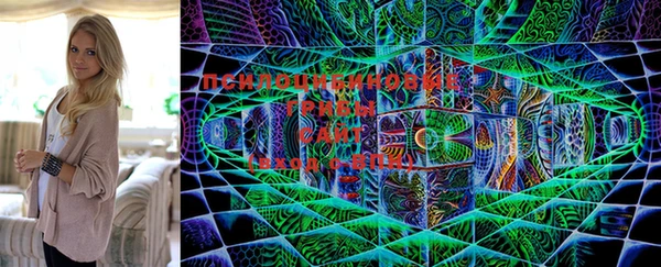 мяу мяу мука Алзамай