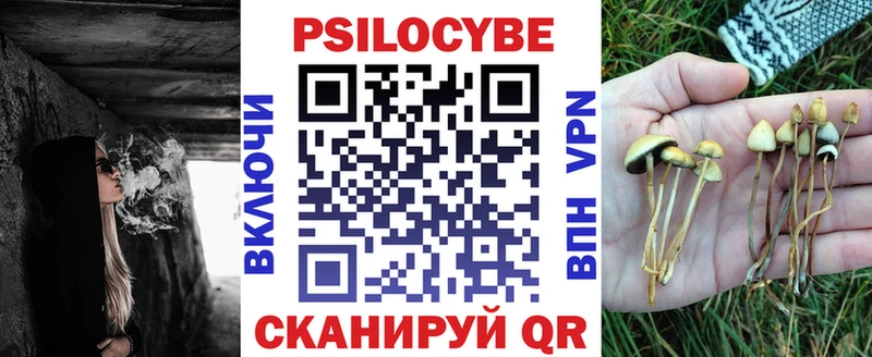 хочу наркоту  Дмитриев  Галлюциногенные грибы GOLDEN TEACHER 